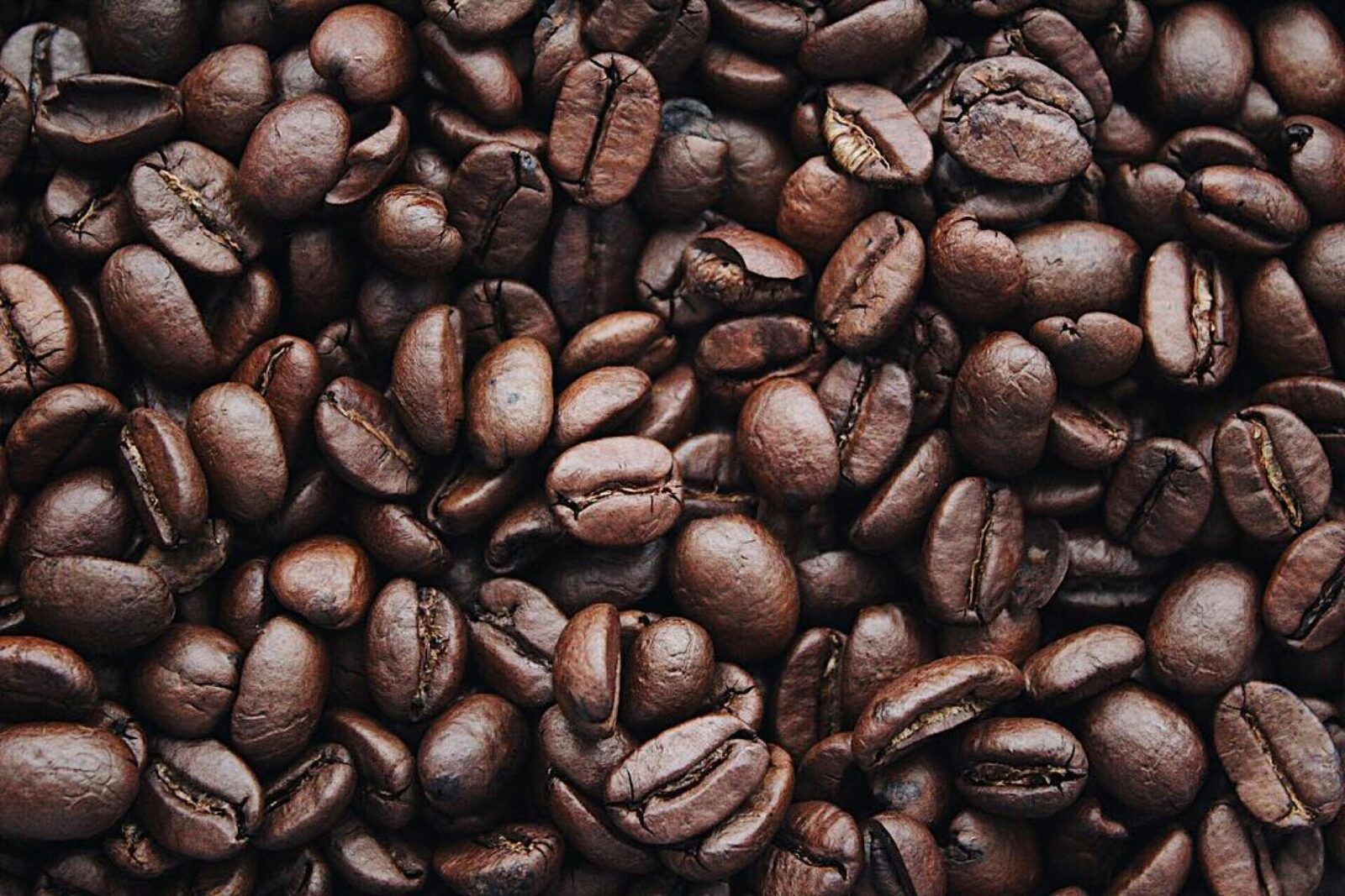 a close up image of roasted coffee beans
